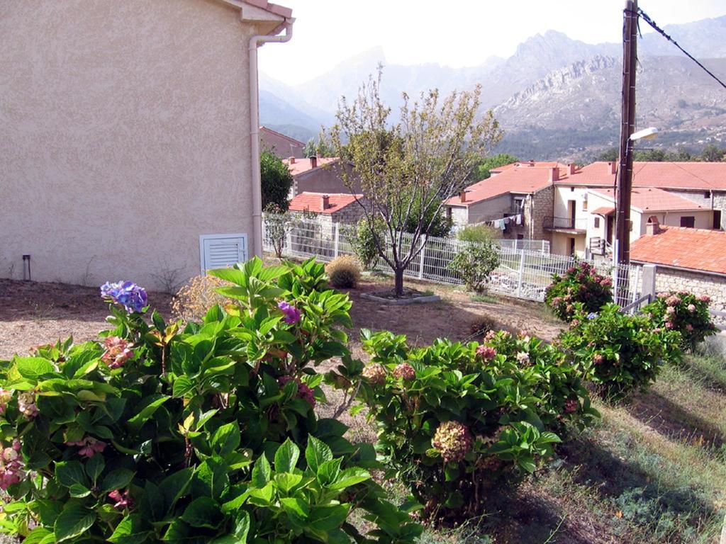 Terrasse De Malbeccu Villa Casamaccioli Værelse billede